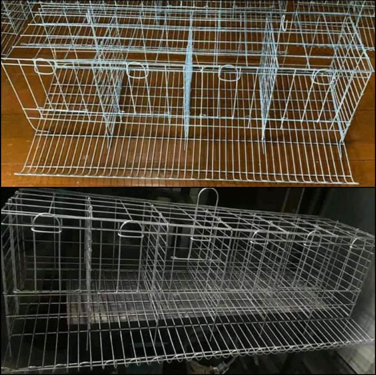 kandang ayam petelur baterai