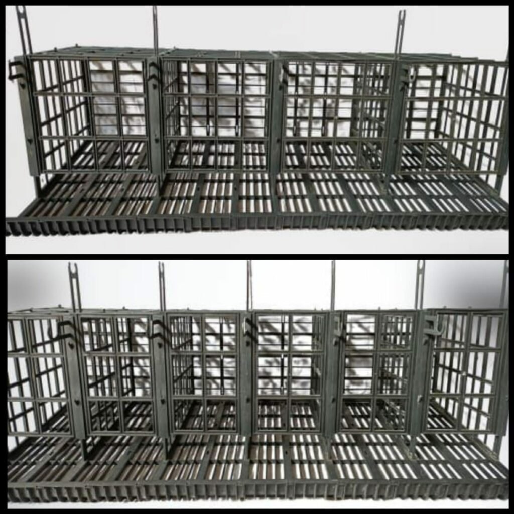 Kandang ayam petelur plastik