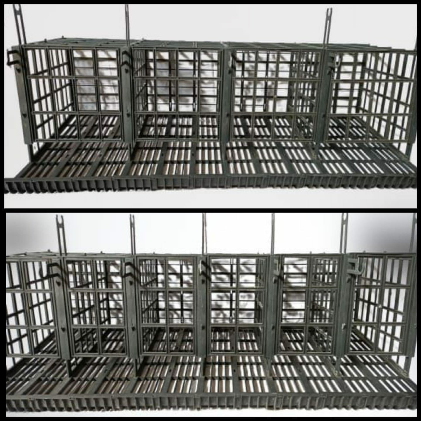 Kandang ayam petelur plastik