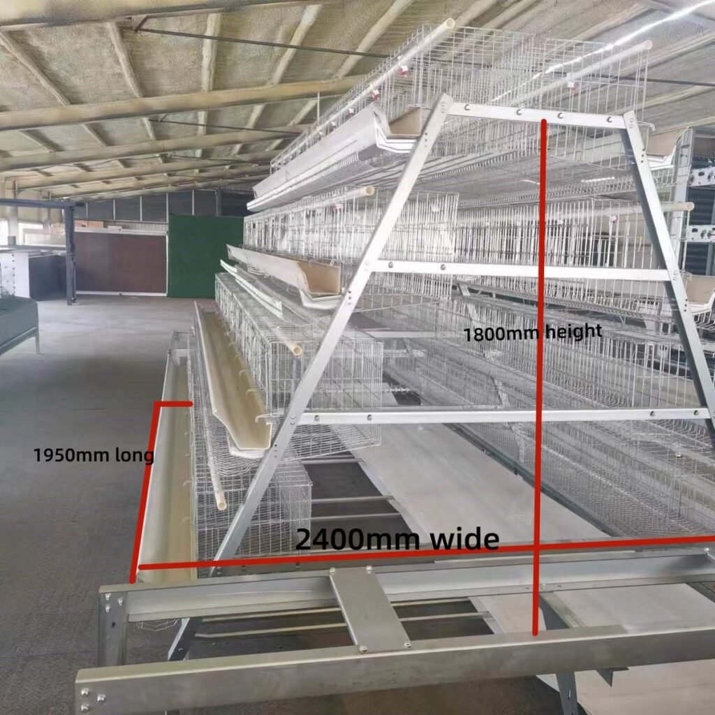 kandang Baterai ayam petelur